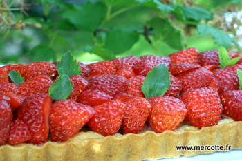 tarte_fraises_rhubarbe_amandes__6_.JPG