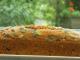 Un carrot cake à la manière de Laurence Salomon ou un pain d'épice ? A vous ses fans d'en décider..