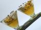 Banana's Mouss' :  La montagne, c'est reparti ! Et la Cuisine Cup 2009 c'est fini....