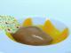 Le retour du chocolat  : Gelée d'agrumes au curry et quenelle Jivara