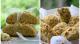 Biscuits, sablés, cookies, Martha Stewart et ses recettes anglo-saxonnes entrent dans ma cuisine !
