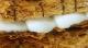 Millefeuille à la vanille ou comment utiliser les tombées de pâte feuilletée inversée !