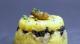  Polenta aux truffes, foie gras et cèpes,  comment customiser un féculent...