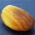 Madeleines