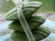 Madeleines au thé matcha et au sésame noir
