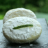 Biscuits fondants au citron vert