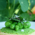 Biscuits de parmesan et petits pois croquant