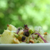Tartare cabillaud, penne rigate et pesto