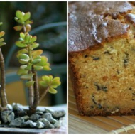 Cake  au thé et aux citrons acidulés