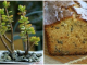 Cake  au thé et aux citrons acidulés