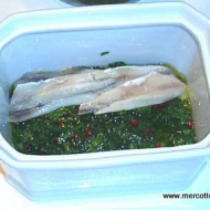 Terrine d'anchois frais aux herbes, version 2011