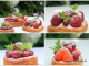 Tartelettes aux fruits rouges