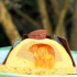 Entremets individuels praliné passion