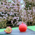 Comme une sucette Fraise Passion