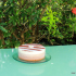 Entremets 3 chocolats
