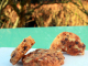 Cookies aux noix et aux pépites Valrhona