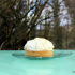 Tarte à la Crème de Benoît Castel