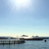 Visite d’une ferme aquacole Gloria Maris à Ajaccio