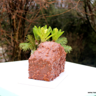 Cake au citron insert yuzu glaçage gourmand