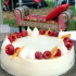 Starlette Cake