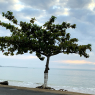 A la découverte de Sao Tomé l'île chocolat, 1er épisode