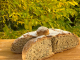 Pain cocotte aux céréales et graines