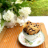 Scones au pépites de chocolat de Camille Perrotte
