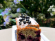 Cake cassis pavot huile d'olive
