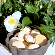 Biscuits de Noël Bredele a l'anis