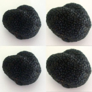 Coques d'oeufs à la purée de truffes