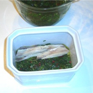 Terrine d'anchois frais aux herbes, version 2005