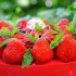 Entremets fraises chocolat