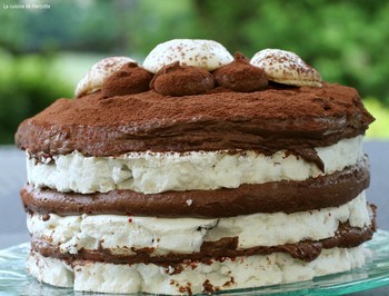 meringue_chocolat6.JPG