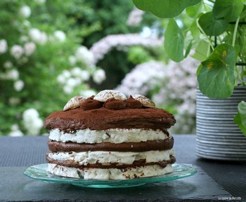 meringue_chocolat7.JPG