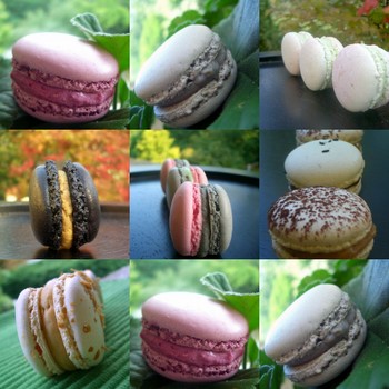 Les macarons : la synthèse des recettes : janvier 2008 – La cuisine de  Mercotte :: Macarons, Verrines, … et chocolat