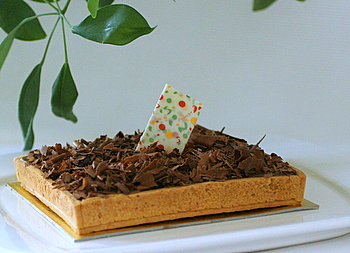 tartelette_chocolat_avec_copeaux.JPG