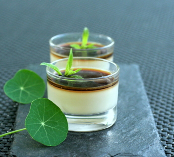 panna_cotta_caf___ivoire1.JPG