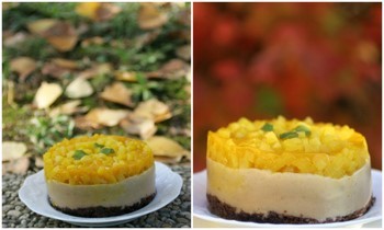 28_oct_09_ASP_marrons_ananas_cake_d__automne.jpg