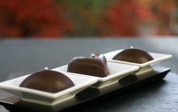 chocolat_marron.JPG