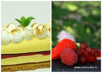tarte_citron_et_schuss.jpg