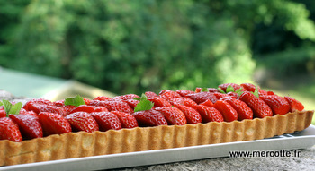 tarte_fraises_rhubarbe_amandes__8_.JPG