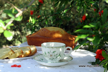 cake_citron__9_.JPG