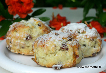 scones_cranberries__2_.jpg