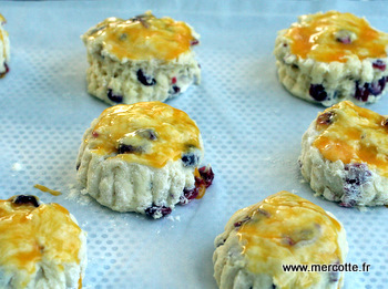 scones_cranberries__3_.jpg