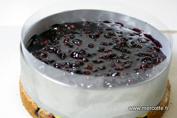 entremets_cassis_passion.JPG