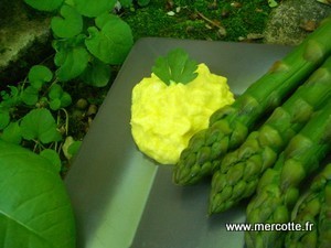 t_asperges_mousse_poireaux_0072.jpg