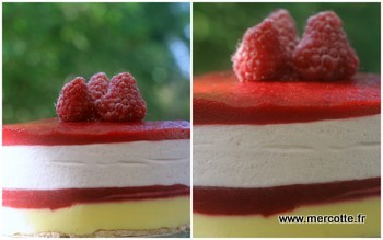 entremets_domi_bis2.jpg