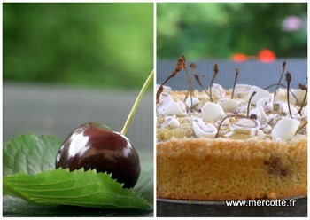 Mini fond de tarte sucrée - L'Echo du Goût