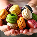 macarons_d1d98.jpg