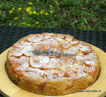 gateau_abricots.JPG